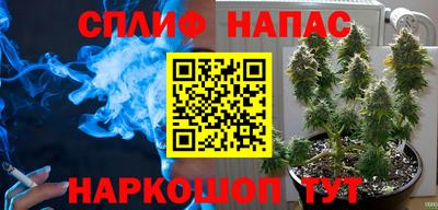 apvp Ачхой-Мартан