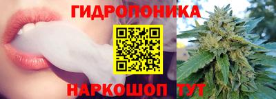 мяу мяу кристалл Аша