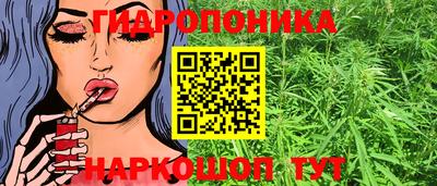 мяу мяу кристалл Аша